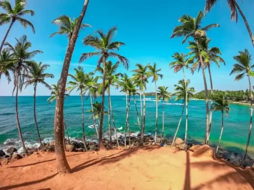 7-Day Classic Sri Lanka Wonders & Safari Expedition