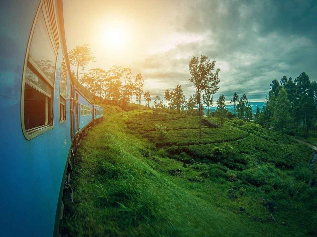 Nuwara Eliya "Little England" & Tea Factory Day Trip