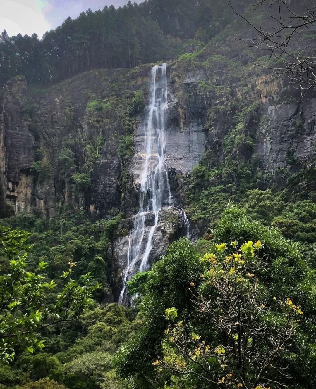 Bambarakanda Falls day trip