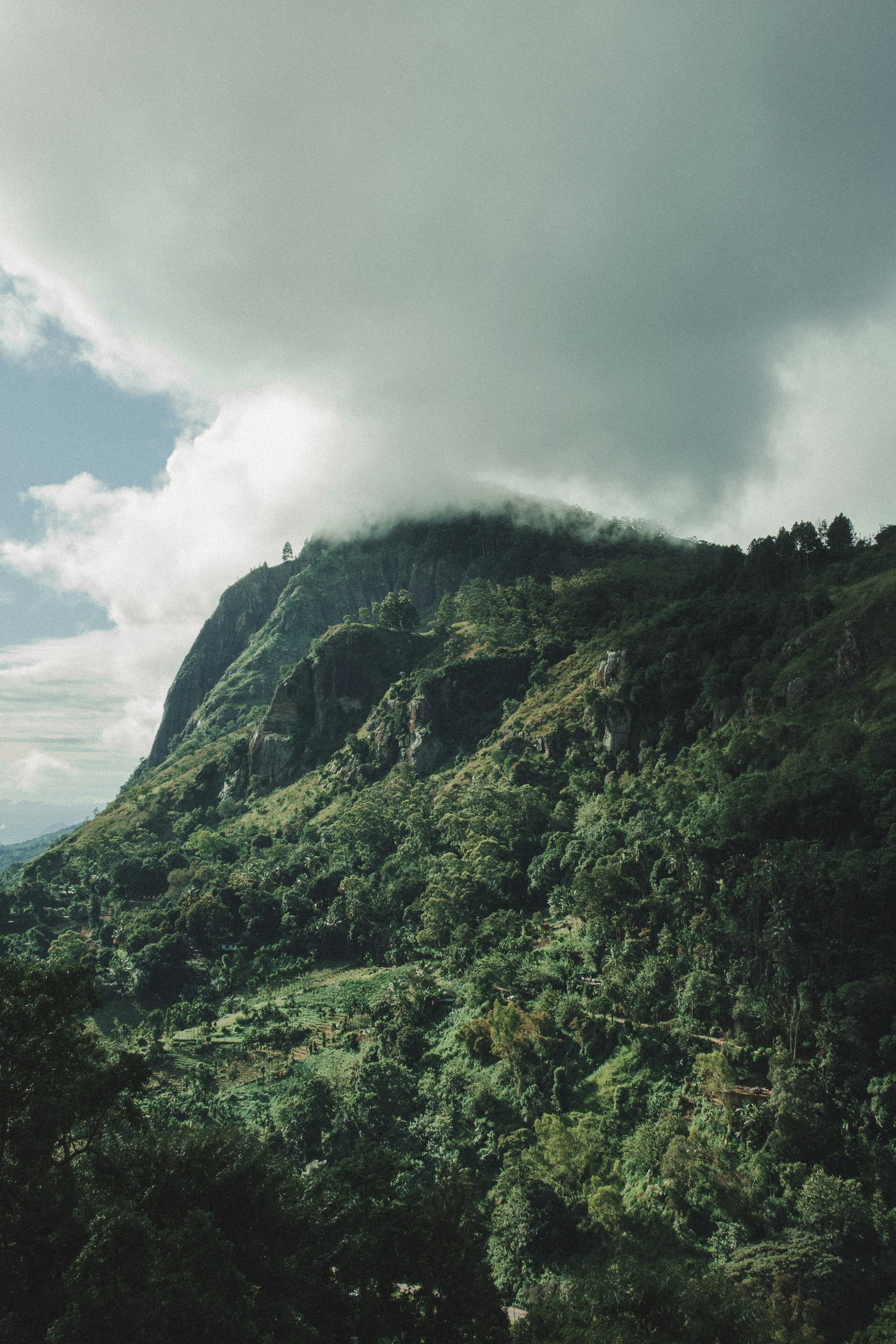 Ella Taxi Service vehicle in Sri Lanka